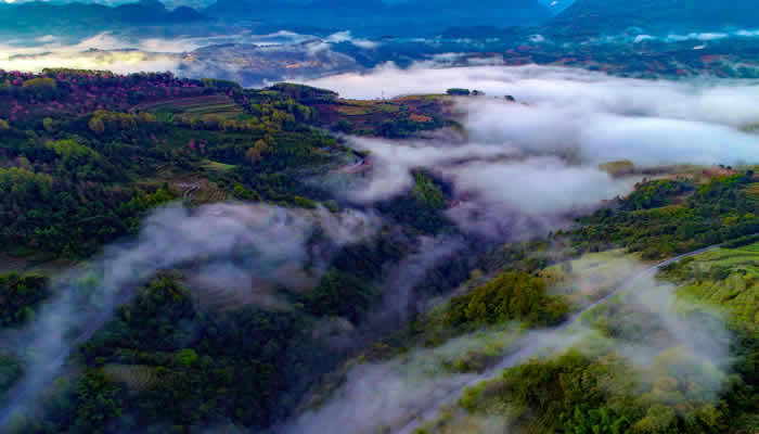 景邁山(shān)雲海